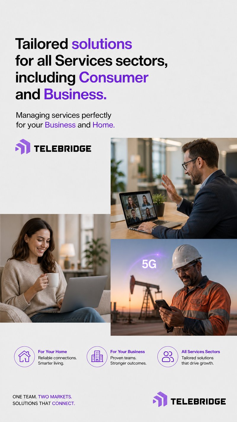 Telebridge field team